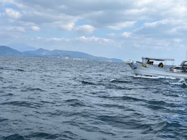 天草海鮮蔵・天草イルカウッチングセンターに投稿された画像（2024/2/12）