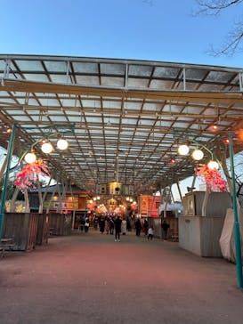 西武園ゆうえんちに投稿された画像（2024/2/12）