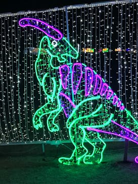 鹿児島イルミナージュに投稿された画像（2024/2/12）