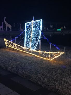 鹿児島イルミナージュに投稿された画像（2024/2/12）