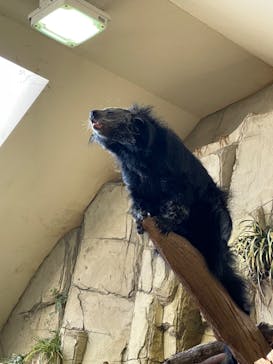 那須どうぶつ王国に投稿された画像（2024/2/12）