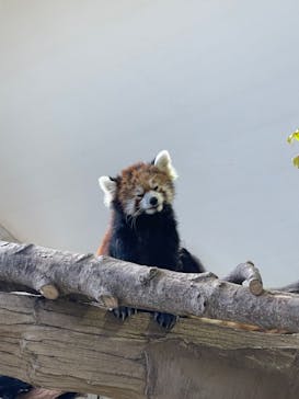 那須どうぶつ王国に投稿された画像（2024/2/12）