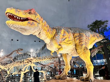 福井県立恐竜博物館に投稿された画像（2024/2/12）