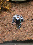 サンシャイン水族館に投稿された画像（2024/2/13）