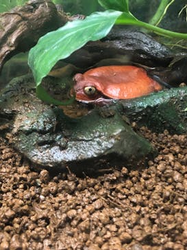 サンシャイン水族館に投稿された画像（2024/2/12）