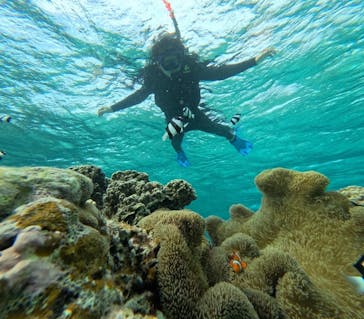 宮古島 ADVENTURE PiPi（ミヤコジマ アドベンチャー ピピ）に投稿された画像（2024/2/12）