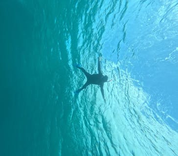 宮古島 ADVENTURE PiPi（ミヤコジマ アドベンチャー ピピ）に投稿された画像（2024/2/12）