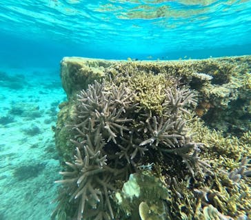 宮古島 ADVENTURE PiPi（ミヤコジマ アドベンチャー ピピ）に投稿された画像（2024/2/12）