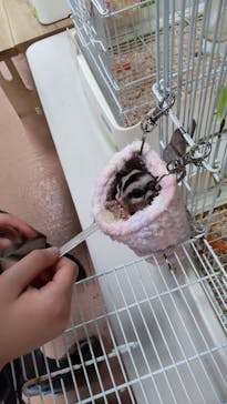 いきもの探検隊上尾に投稿された画像（2024/2/12）