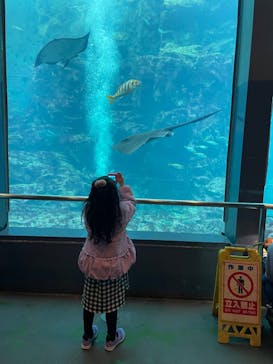 下田海中水族館に投稿された画像（2024/2/12）