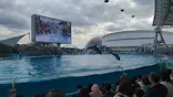 名古屋港水族館に投稿された画像（2024/2/13）