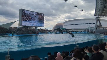 名古屋港水族館に投稿された画像（2024/2/12）