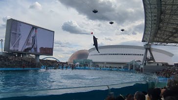 名古屋港水族館に投稿された画像（2024/2/12）