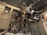 国立科学博物館に投稿された画像（2024/2/13）
