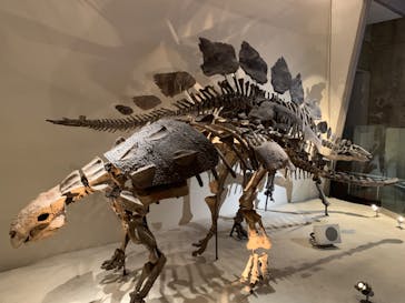 国立科学博物館に投稿された画像（2024/2/12）