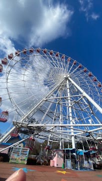 日本モンキーパークに投稿された画像（2024/2/12）