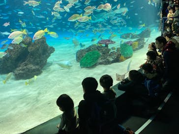サンシャイン水族館に投稿された画像（2024/2/12）