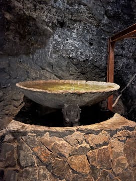 地底王国「美川ムーバレー」に投稿された画像（2024/2/12）