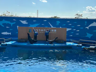 仙台うみの杜水族館に投稿された画像（2024/2/12）