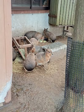 伊豆シャボテン動物公園に投稿された画像（2024/2/13）