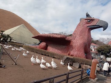 伊豆シャボテン動物公園に投稿された画像（2024/2/13）