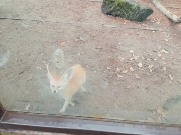 伊豆シャボテン動物公園に投稿された画像（2024/2/13）