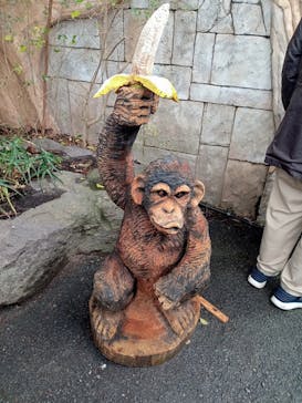 伊豆シャボテン動物公園に投稿された画像（2024/2/13）
