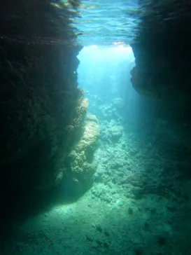 武藤潜水に投稿された画像（2024/2/13）