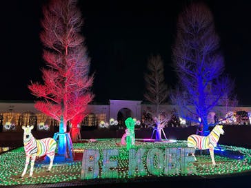 神戸イルミナージュに投稿された画像（2024/2/13）