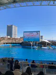 名古屋港水族館に投稿された画像（2024/2/13）
