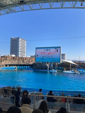 名古屋港水族館に投稿された画像（2024/2/13）