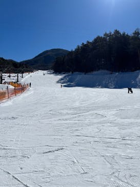 治部坂高原スキー場に投稿された画像（2024/2/13）