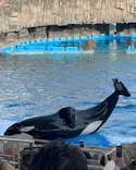 名古屋港水族館に投稿された画像（2024/2/13）