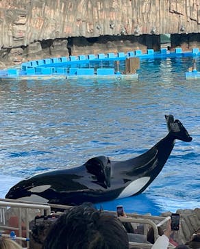 名古屋港水族館に投稿された画像（2024/2/13）
