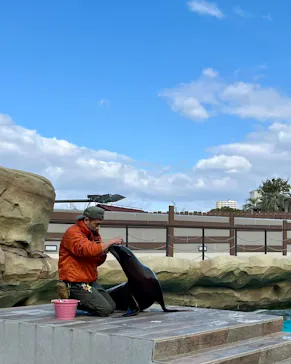 天王寺動物園に投稿された画像（2024/2/13）