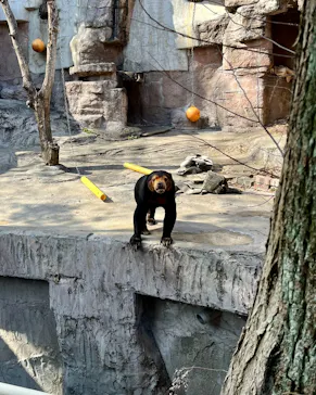 天王寺動物園に投稿された画像（2024/2/13）