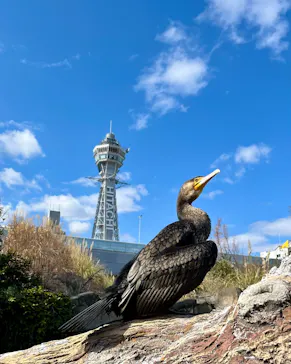天王寺動物園に投稿された画像（2024/2/13）