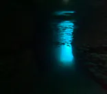 武藤潜水に投稿された画像（2024/2/13）