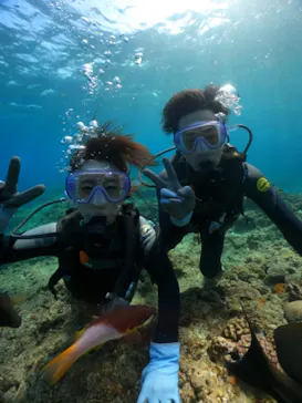 武藤潜水に投稿された画像（2024/2/13）