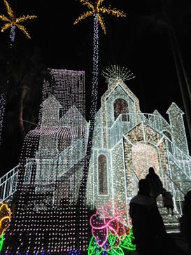 美らヤシパークオキナワ・東南植物楽園に投稿された画像（2024/2/13）