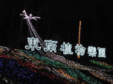 美らヤシパークオキナワ・東南植物楽園に投稿された画像（2024/2/13）