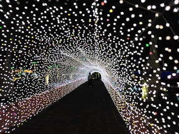 美らヤシパークオキナワ・東南植物楽園に投稿された画像（2024/2/13）