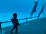 名古屋港水族館に投稿された画像（2024/2/13）