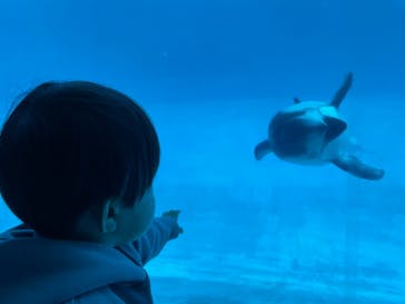 名古屋港水族館に投稿された画像（2024/2/13）