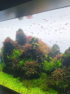 すみだ水族館に投稿された画像（2024/2/13）