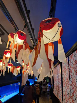 すみだ水族館に投稿された画像（2024/2/13）