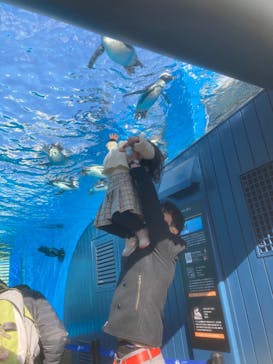 サンシャイン水族館に投稿された画像（2024/2/13）