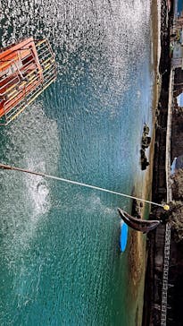 下田海中水族館に投稿された画像（2024/2/13）