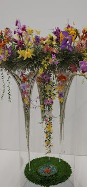 世界らん展2026-花と緑の祭典-に投稿された画像（2024/2/13）