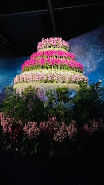 世界らん展2026-花と緑の祭典-に投稿された画像（2024/2/13）